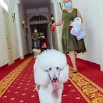 Europa Royale Друскининкай